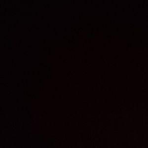 Meet your Posher, Brandi